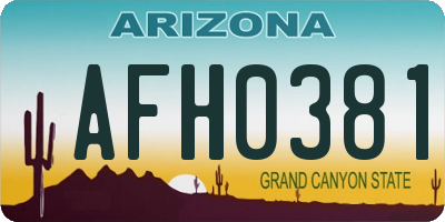 AZ license plate AFH0381