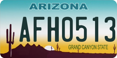 AZ license plate AFH0513