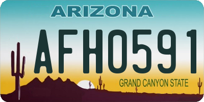 AZ license plate AFH0591