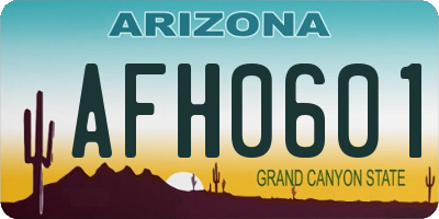AZ license plate AFH0601