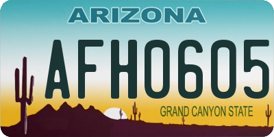 AZ license plate AFH0605