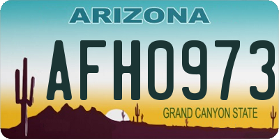 AZ license plate AFH0973