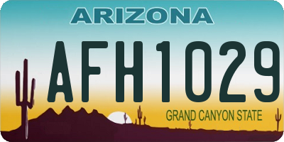 AZ license plate AFH1029