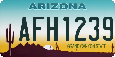 AZ license plate AFH1239