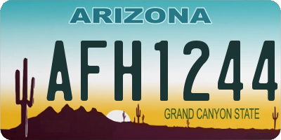 AZ license plate AFH1244
