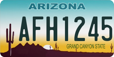 AZ license plate AFH1245