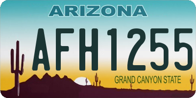 AZ license plate AFH1255