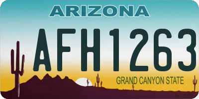 AZ license plate AFH1263