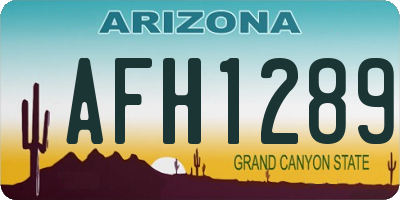 AZ license plate AFH1289