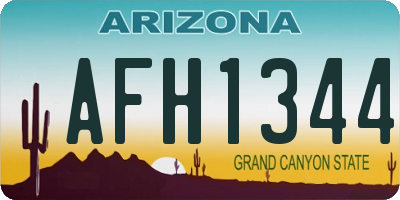 AZ license plate AFH1344