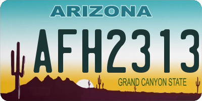 AZ license plate AFH2313