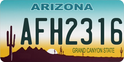 AZ license plate AFH2316