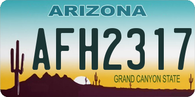 AZ license plate AFH2317