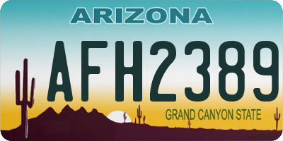 AZ license plate AFH2389