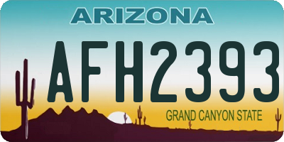 AZ license plate AFH2393