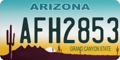 AZ license plate AFH2853