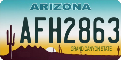 AZ license plate AFH2863