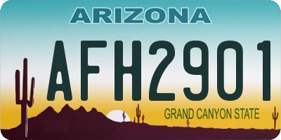 AZ license plate AFH2901