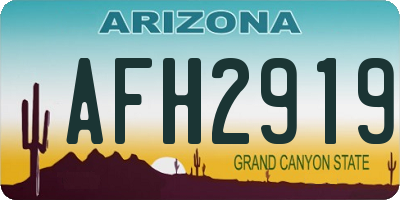 AZ license plate AFH2919