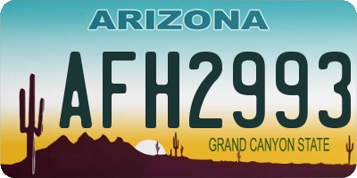 AZ license plate AFH2993