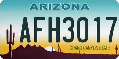 AZ license plate AFH3017
