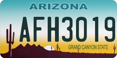 AZ license plate AFH3019