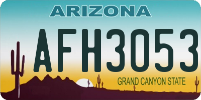 AZ license plate AFH3053