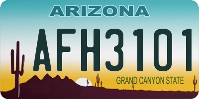 AZ license plate AFH3101