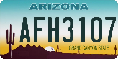 AZ license plate AFH3107