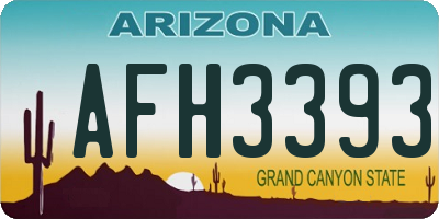 AZ license plate AFH3393