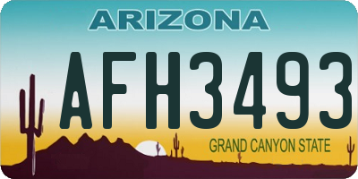 AZ license plate AFH3493
