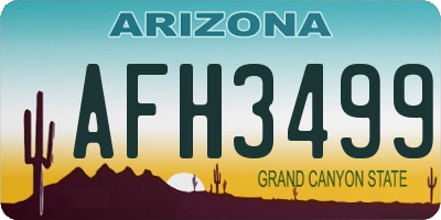 AZ license plate AFH3499