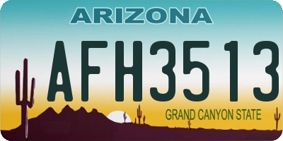AZ license plate AFH3513
