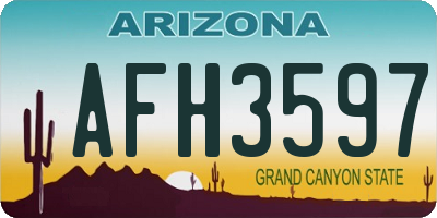 AZ license plate AFH3597