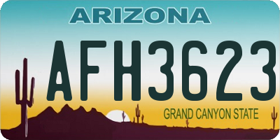 AZ license plate AFH3623