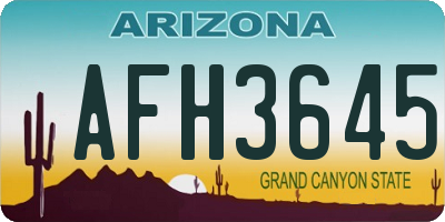 AZ license plate AFH3645