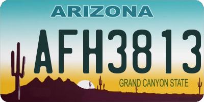 AZ license plate AFH3813