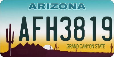 AZ license plate AFH3819