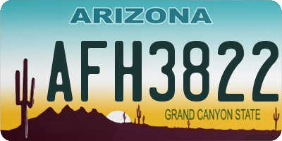 AZ license plate AFH3822
