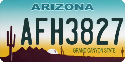 AZ license plate AFH3827