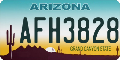 AZ license plate AFH3828