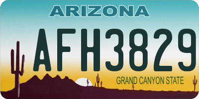 AZ license plate AFH3829
