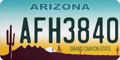 AZ license plate AFH3840