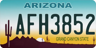 AZ license plate AFH3852