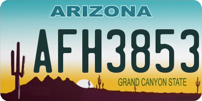 AZ license plate AFH3853