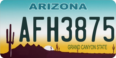 AZ license plate AFH3875