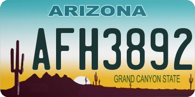 AZ license plate AFH3892