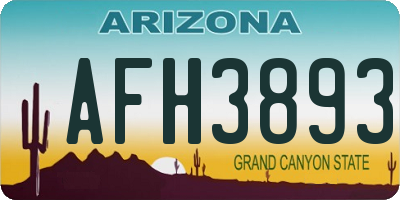 AZ license plate AFH3893