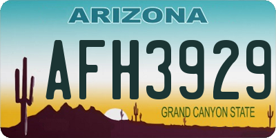 AZ license plate AFH3929