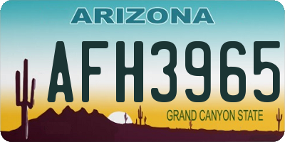 AZ license plate AFH3965